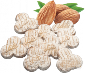 Captura_de_Pantalla_2023-01-30_a_la_s__8.49.02-removebg-preview